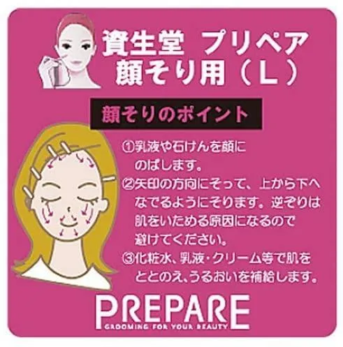 Shiseido Stainless Eye Brow Razor Large Pack, Basic color, 1 Pack of 3 Razors
